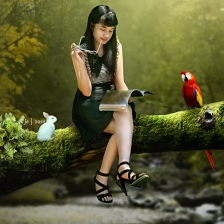 alice by je 